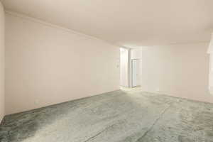 Unfurnished room featuring carpet flooring