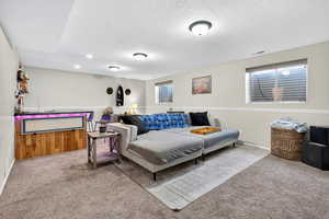Living area with carpet floors and a textured ceiling