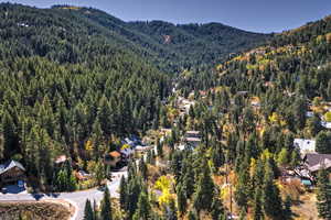 Aerial view of property and surrounding area featuring a heavily wooded area and a mountain backdrop