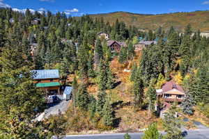 Bird's eye view of a heavily wooded area