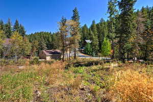 View of yard featuring a forest view and an outdoor structure