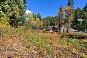 View of yard with a storage shed and a wooded view