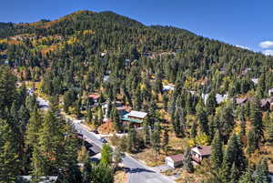 Aerial overview of property's location featuring a forest