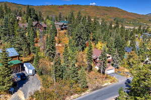 Aerial view of a mountain backdrop and a heavily wooded area
