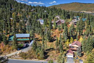 Drone / aerial view of a heavily wooded area
