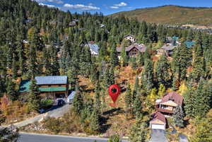 Bird's eye view of a heavily wooded area