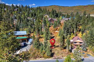 Bird's eye view of a heavily wooded area