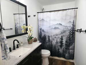 Full bath with dark wood finished floors and vanity
