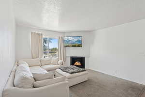Carpeted living room with a lit fireplace and a textured ceiling