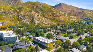Bird's eye view of a mountainous background