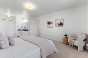 Bedroom featuring carpet floors and a closet