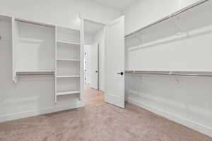 Spacious closet with light carpet
