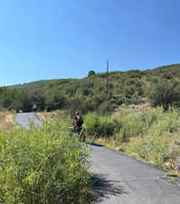 View of road featuring a wooded view
