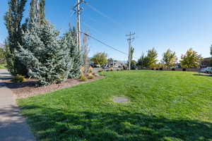 View of grassy yard