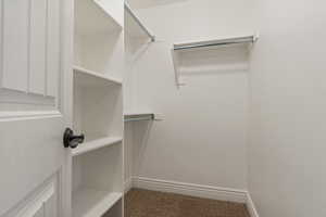 View of walk in closet