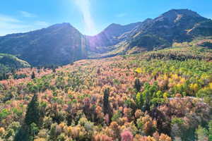 Just above the property