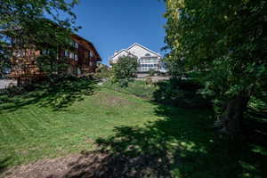 View of grassy yard