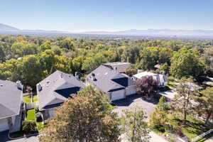Aerial perspective of suburban area featuring a forest and a mountain backdrop