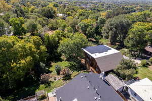 Bird's eye view of a forest