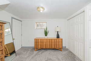 Office area with carpet flooring and a textured ceiling