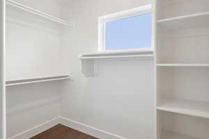 Spacious closet featuring dark wood-type flooring