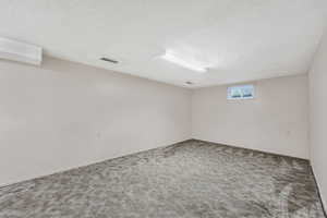 Basement featuring carpet floors and a textured ceiling