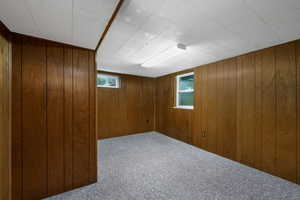 Basement featuring carpet flooring and wooden walls