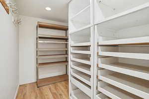 Spacious closet featuring light wood-style flooring