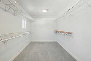 Spacious closet featuring light colored carpet