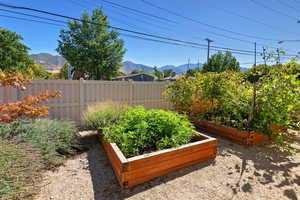 View of yard with a garden and a mountain view