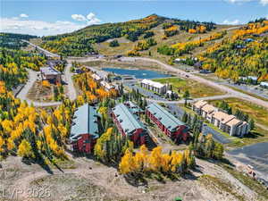 Aerial view of a forest