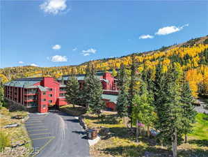 Drone / aerial view of a forest