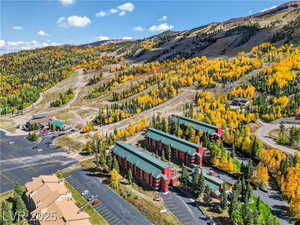 Bird's eye view of a forest