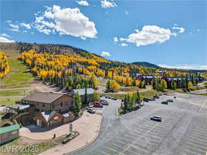 Aerial view of a heavily wooded area