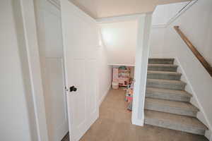 Stairs featuring carpet flooring