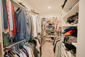 Spacious closet with light carpet