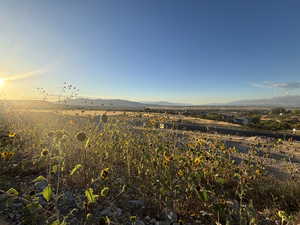 Views to the south west