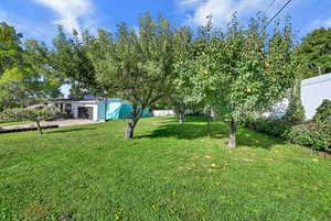 View of yard with an attached garage and driveway
