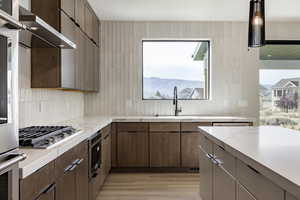 Kitchen featuring ventilation hood, light countertops, tasteful backsplash, light wood-type flooring, and stainless steel appliances