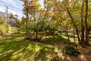 Back of huge backard