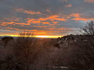 $1M View of local wilderness