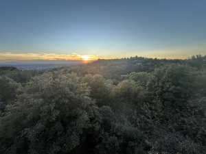 $1M deck view