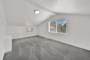 Bonus room with carpet flooring and a textured ceiling