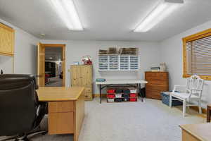 Bedroom being used as an office area featuring light carpet, a textured ceiling, and washer / dryer