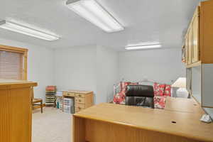 Bedroom being used as a home office featuring light colored carpet and a textured ceiling