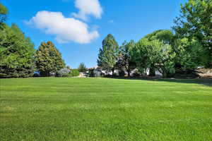 Large backyard featuring a lawn