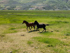 View of mountain backdrop featuring agricultural land and rural landscape
