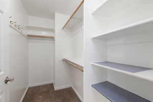 Spacious closet featuring dark colored carpet