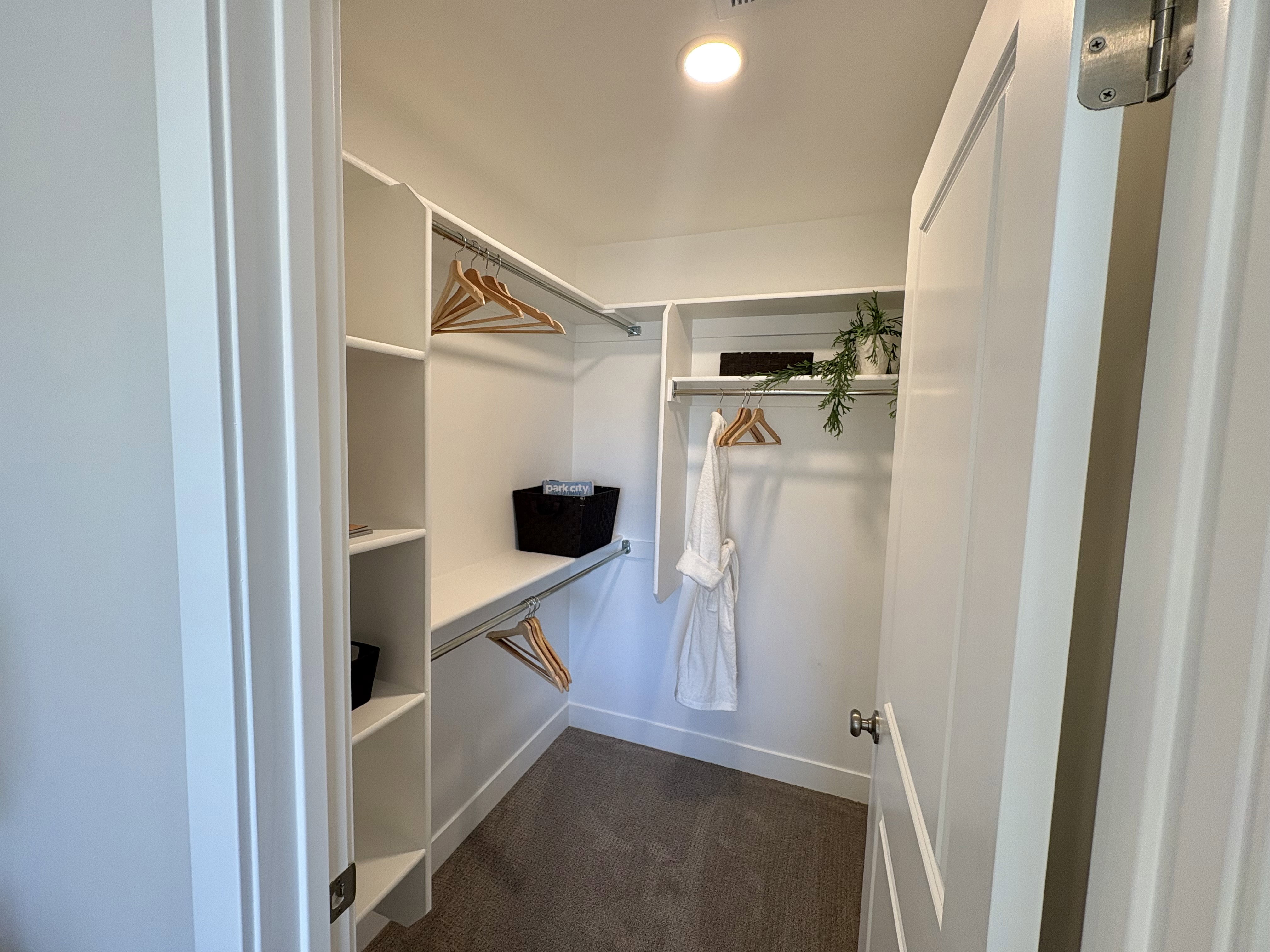 Spacious closet featuring dark carpet