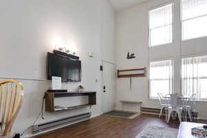 Living room with a baseboard heating unit, dark wood finished floors, and a towering ceiling